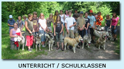 Unterricht von Schulklassen...
