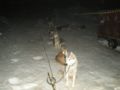 dscn0090.jpg