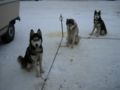 dscn0099.jpg