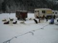 dscn0118.jpg