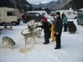 dscn0133.jpg