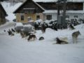 dscn0141.jpg