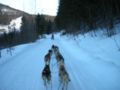 dscn0165.jpg