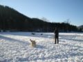 dscn0179.jpg