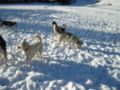 dscn0183.jpg
