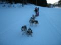 dscn0205.jpg