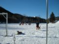 dscn0222.jpg