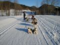 dscn0229.jpg