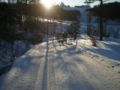 dscn0232.jpg