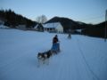 dscn0233.jpg