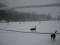 dscn0239.jpg