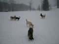 dscn0240.jpg