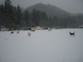 dscn0242.jpg