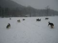 dscn0243.jpg