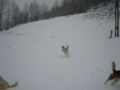 dscn0244.jpg