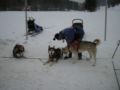 dscn0252.jpg