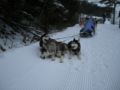 dscn0258.jpg