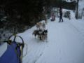 dscn0259.jpg