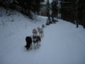dscn0262.jpg
