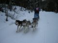 dscn0263.jpg