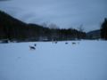 dscn0265.jpg