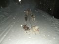 dscn0347.jpg
