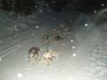 dscn0348.jpg