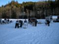 dscn0386.jpg