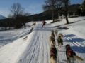 dscn0388.jpg