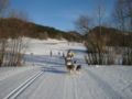 dscn0390.jpg