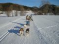 dscn0391.jpg