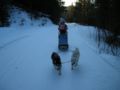 dscn0416.jpg