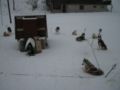 dscn0425.jpg