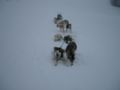 dscn0427.jpg