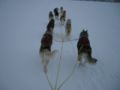 dscn0429.jpg