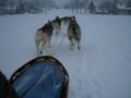 dscn0430.jpg
