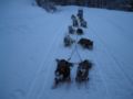 dscn0433.jpg