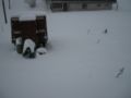 dscn0436.jpg