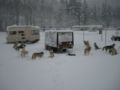 dscn0437.jpg