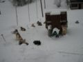 dscn0439.jpg