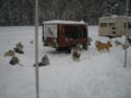 dscn0440.jpg