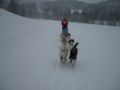 dscn0443.jpg
