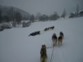 dscn0444.jpg