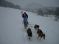 dscn0446.jpg