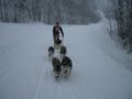 dscn0449.jpg