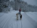 dscn0455.jpg
