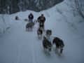 dscn0461.jpg