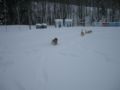 dscn0471.jpg