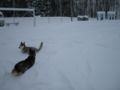 dscn0472.jpg