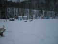dscn0473.jpg